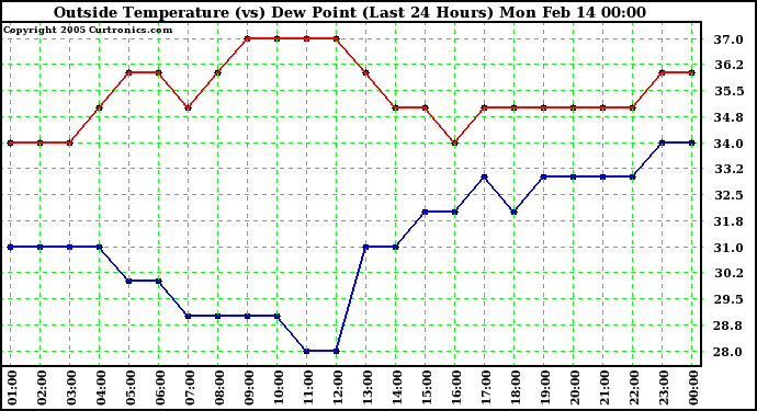  Outside Temperature (vs) Dew Point (Last 24 Hours) 