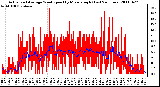 Milwaukee Weather Actual and Average Wind Speed by Minute mph (Last 24 Hours)