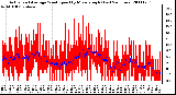 Milwaukee Weather Actual and Average Wind Speed by Minute mph (Last 24 Hours)