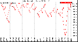 Milwaukee Weather Solar Radiation<br>Daily