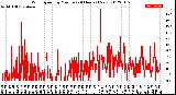 Milwaukee Weather Wind Speed<br>by Minute<br>(24 Hours) (New)