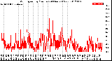 Milwaukee Weather Wind Speed<br>by Minute<br>(24 Hours) (New)