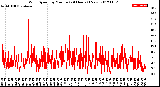 Milwaukee Weather Wind Speed<br>by Minute<br>(24 Hours) (New)