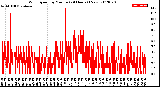 Milwaukee Weather Wind Speed<br>by Minute<br>(24 Hours) (New)