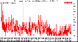 Milwaukee Weather Wind Speed<br>by Minute<br>(24 Hours) (New)