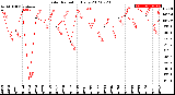 Milwaukee Weather Solar Radiation<br>Daily