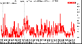 Milwaukee Weather Wind Speed<br>by Minute<br>(24 Hours) (New)