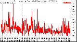 Milwaukee Weather Wind Speed<br>by Minute<br>(24 Hours) (New)