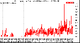 Milwaukee Weather Wind Speed<br>by Minute<br>(24 Hours) (New)