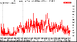 Milwaukee Weather Wind Speed<br>by Minute<br>(24 Hours) (New)