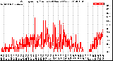 Milwaukee Weather Wind Speed<br>by Minute<br>(24 Hours) (New)