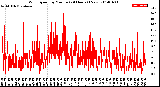 Milwaukee Weather Wind Speed<br>by Minute<br>(24 Hours) (New)