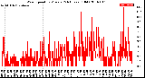 Milwaukee Weather Wind Speed<br>by Minute<br>(24 Hours) (Old)