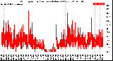 Milwaukee Weather Wind Speed<br>by Minute<br>(24 Hours) (New)