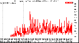 Milwaukee Weather Wind Speed<br>by Minute<br>(24 Hours) (New)