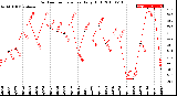 Milwaukee Weather Outdoor Temperature<br>Daily High