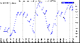 Milwaukee Weather Outdoor Temperature<br>Daily Low