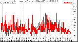 Milwaukee Weather Wind Speed<br>by Minute<br>(24 Hours) (New)