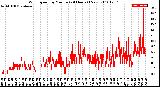 Milwaukee Weather Wind Speed<br>by Minute<br>(24 Hours) (New)