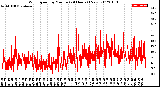 Milwaukee Weather Wind Speed<br>by Minute<br>(24 Hours) (New)