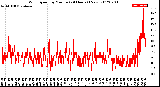 Milwaukee Weather Wind Speed<br>by Minute<br>(24 Hours) (New)