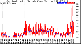 Milwaukee Weather Wind Speed<br>Actual and Median<br>by Minute<br>(24 Hours) (Old)