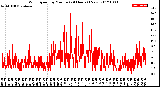 Milwaukee Weather Wind Speed<br>by Minute<br>(24 Hours) (New)