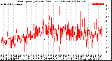 Milwaukee Weather Wind Speed<br>by Minute<br>(24 Hours) (Alternate)