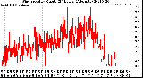 Milwaukee Weather Wind Speed<br>by Minute<br>(24 Hours) (Alternate)