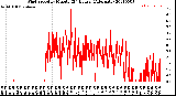 Milwaukee Weather Wind Speed<br>by Minute<br>(24 Hours) (Alternate)