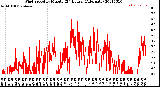Milwaukee Weather Wind Speed<br>by Minute<br>(24 Hours) (Alternate)