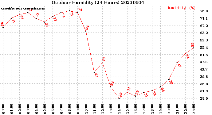 Milwaukee Weather Outdoor Humidity<br>(24 Hours)
