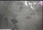 Weather Cam